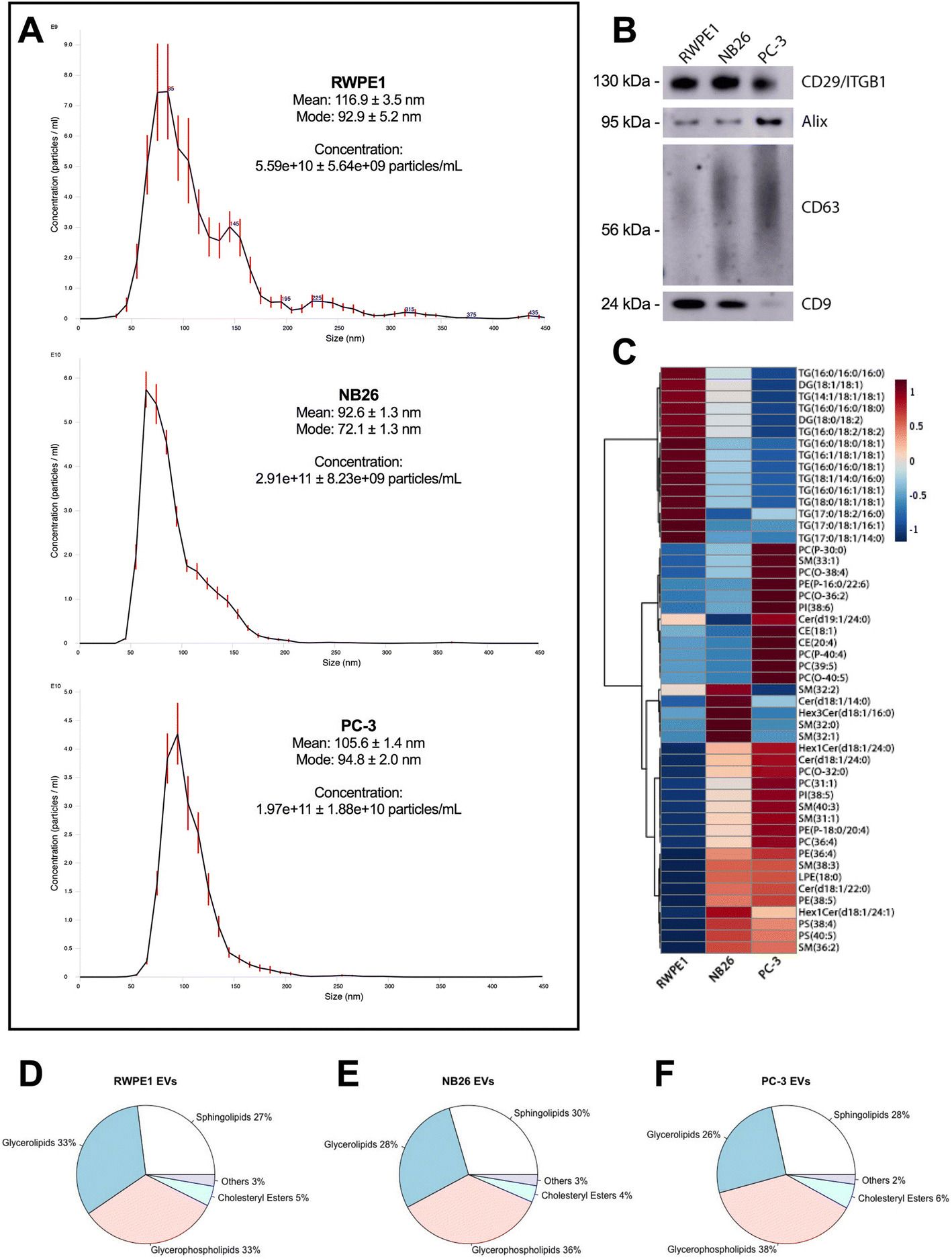 Comprehensive Report Sample or Lipidomic Profiling Of Extracellular Vesicles Derived From Prostate